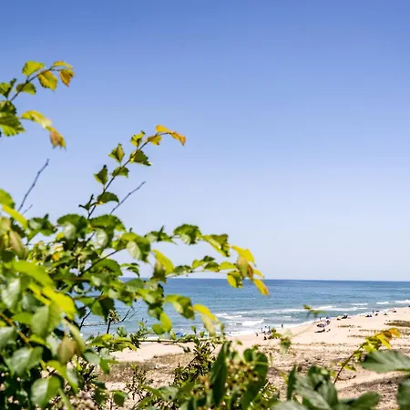 - - електрон универс Campingplads *