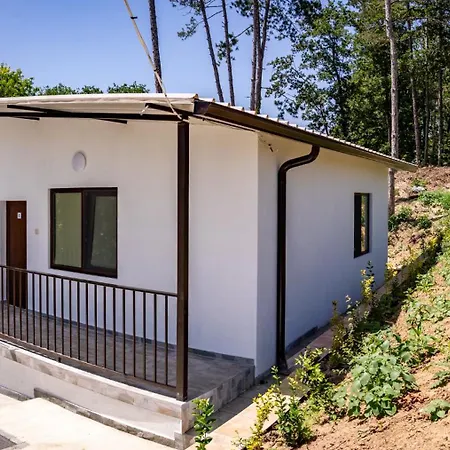 Camping - - електрон универс *