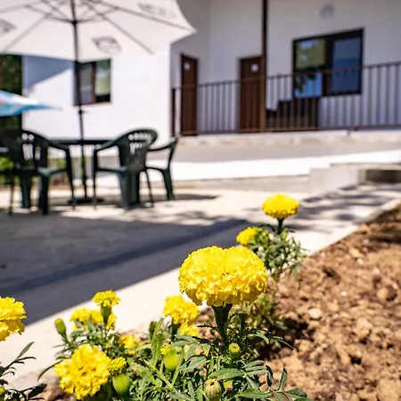 Campingplads - - електрон универс