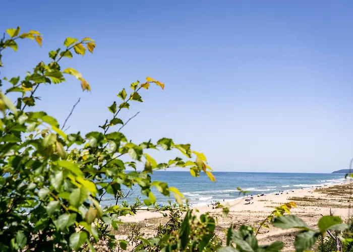 - - електрон универс Къмпинг *