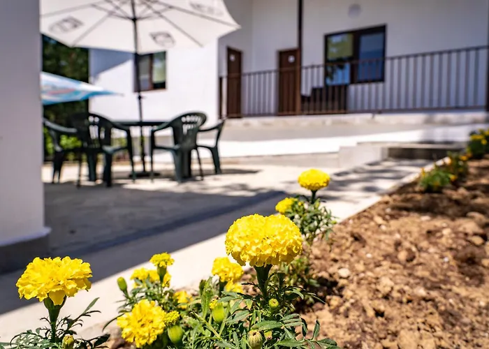 Къмпинг - - електрон универс